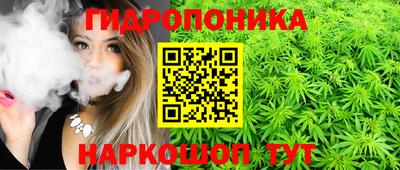 ALPHA PVP Славгород